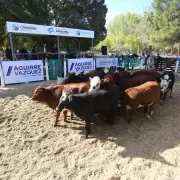 Proponen respaldo crediticio para el desarrollo ganadero en el Sur de Mendoza