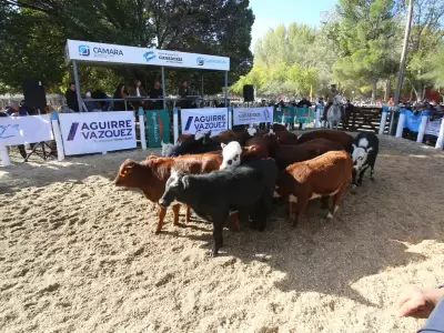 Plantelingresando a la Fiesta de la Ganader�a./