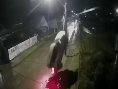 Auto volador en Chile.