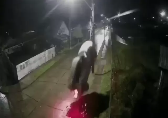 Auto volador en Chile.