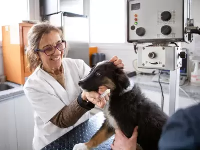 �Cu�nto sale mantener a un perro en Argentina?