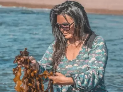 Carola Puracchio eligiendo algas invasoras que llegaron en barco a la costa patag�nica y ahora ella las transforma en ex�ticos platos.