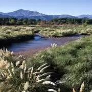 Contaminación en Mendoza: proponen una Ley para reconocer a la naturaleza como sujeto de derecho