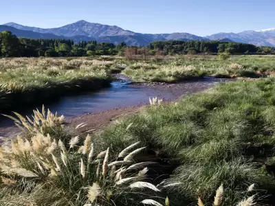 Arroyo El Tigre.