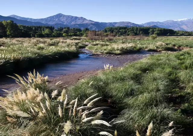 Arroyo El Tigre.