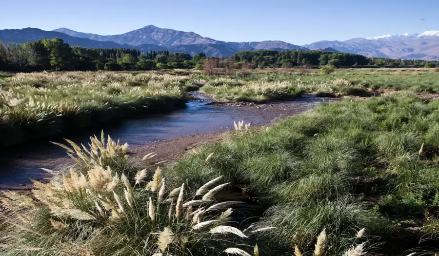 Se utilizará agua del arroyo El Tigre