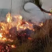 En el sur de Mendoza hay alarma por incendios que podr�an ser intencionales