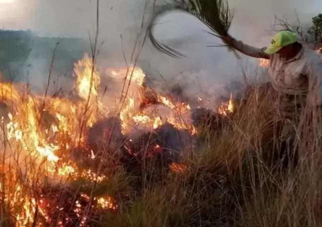 Imagen ilustrativa: archivo web