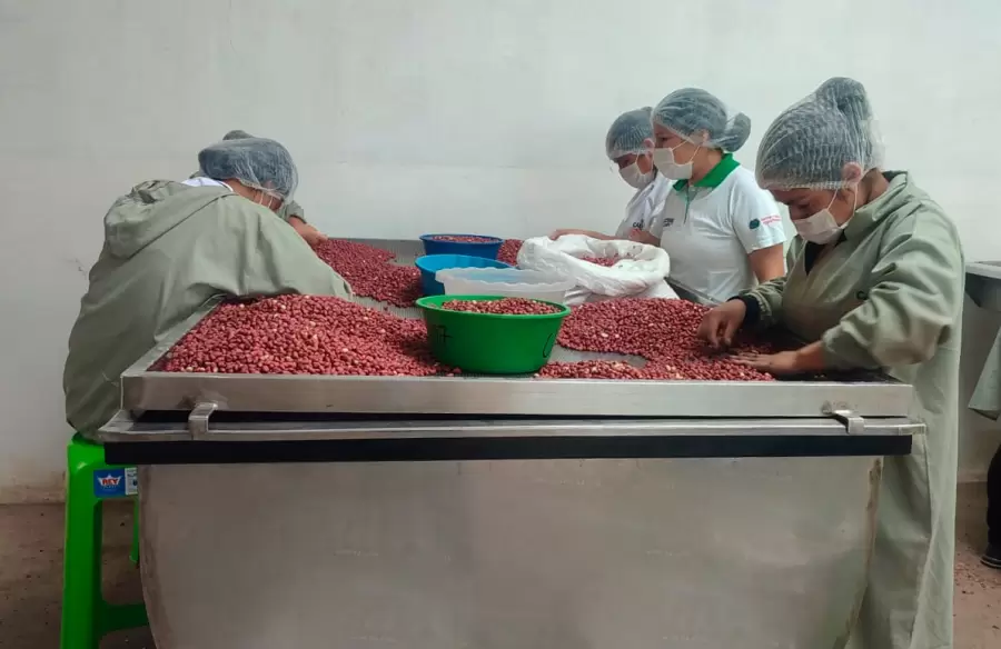 La provincia con mayor producci�n de man� es C�rdoba. Pero no es la �nica: San Luis, Buenos Aires y R�o Negro tambi�n producen.