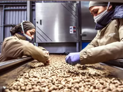 En lo que respecta a exportaciones de man�, superamos a la India. Un r�cord.