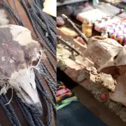 Decomisan artesan�as con restos de animales protegidos en Mendoza