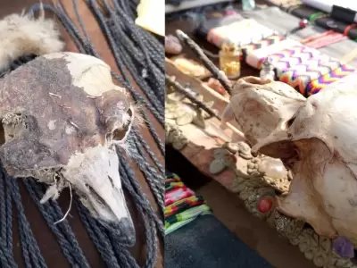 Restos de animales en artesan�as./