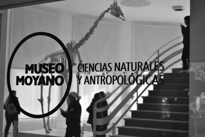 Museo Moyano