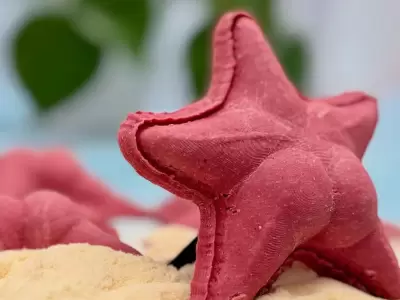 El sorrentino en forma de estrella, se volvi� furor en las redes sociales.