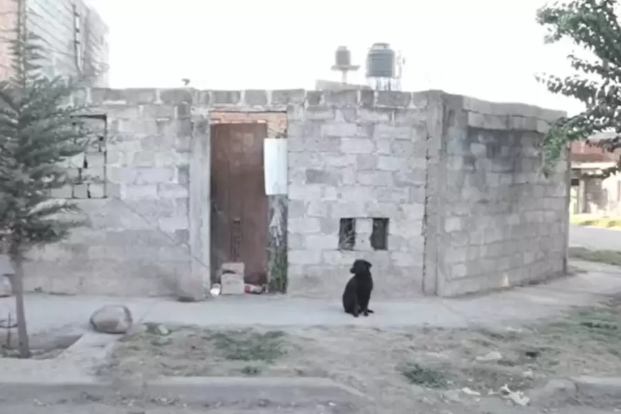 La vivienda del sospechoso, donde continuar�n
