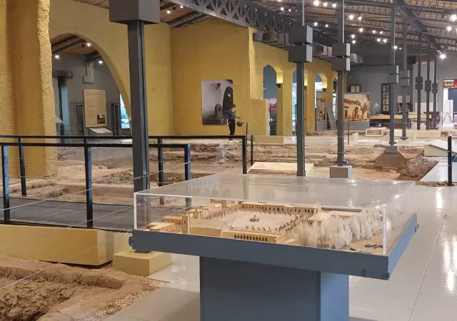 �rea Museo del �rea Fundacional.