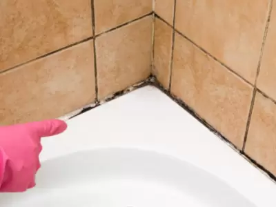Con esta f�rmula podr�s dejar tu ba�o como nuevo.