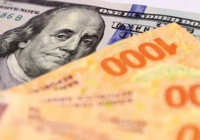 Pesos y d�lares.