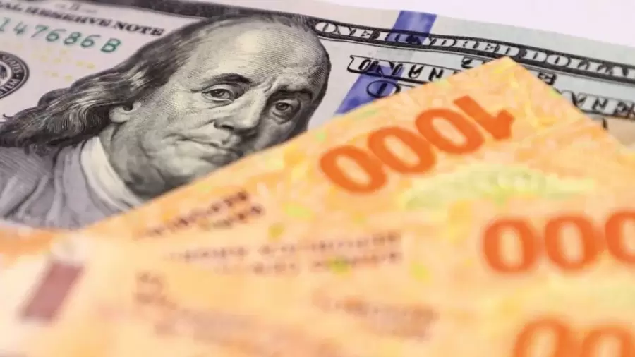 Pesos y d�lares.
