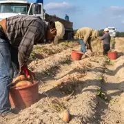 Las redadas de Trump afectaron la fuerza laboral en 1,2 millones de trabajadores