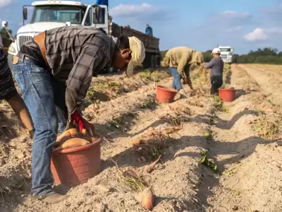 La fuerza de trabajo de inmigrantes se ha vuelto fundamental en varios sectores de la econom�a estadounidense y preocupa su disminuci�n.