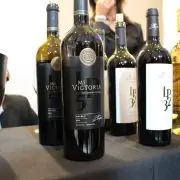Vanesa Paredes: "El vino naci� como un juego y hoy es un proyecto familiar"
