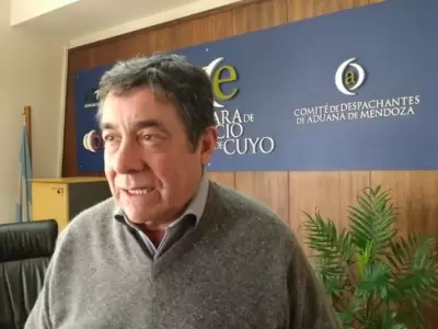 Gerente de la C�mara de Comercio Exterior de Cuyo, Mario Bustos Carra.