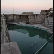 Comunicado oficial de Aquarium Mar del Plata sobre el estado de los delfines
