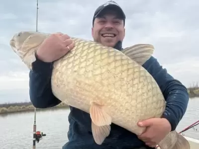 El ejemplar encontrado result� ser impresionante.