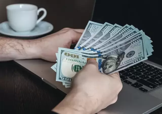 Los servicios freelance empiezan a despegar en remuneraciones y se ofrecen como una innovadora opci�n para el profesional independiente.