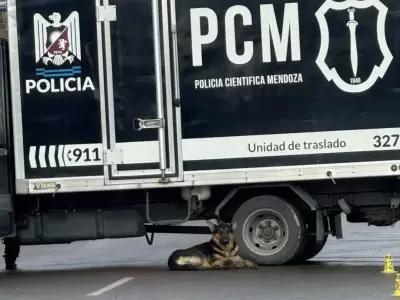 Compa�ero fiel.