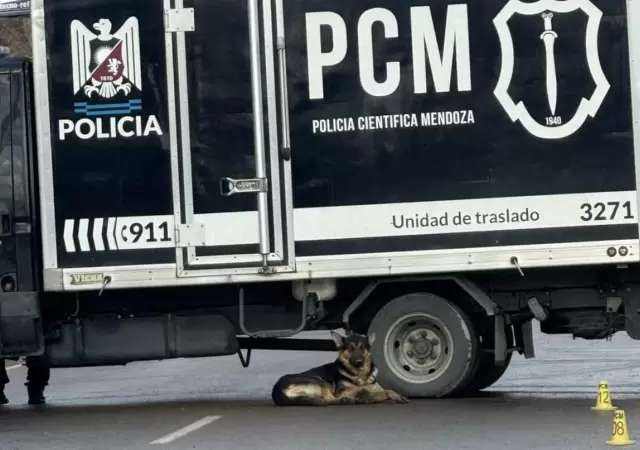 Compa�ero fiel.
