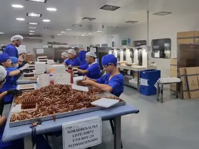 El Cuerpo M�dico Forense entreg� el an�lisis de las primeras 20 historias cl�nicas.