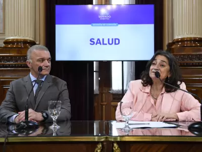 La legisladora kirchnerista y titular de la Comisi�n de Salud, Lucia Corpacci, junto al vice Carlos Arce.