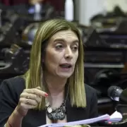 Diputada Danya Tavela: "Faltan referentes para un proceso de oposici�n razonable"