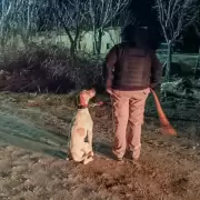 Fito, el h�roe policial de cuatro patas que resolvi� robos rurales en el Este