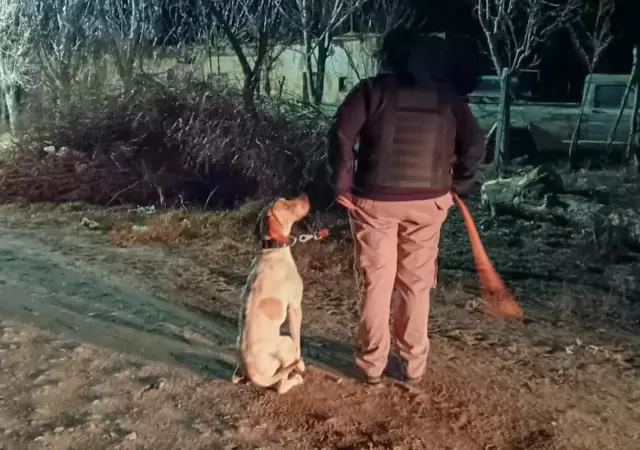 Fito mira fijamente a su compa�ero humano a la espera de alguna orden para emprender su labor. /