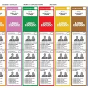 Elecciones en Mendoza: gu�a completa para votar con boleta �nica y doble urna