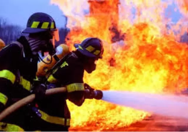 Imagen ilustrativa (web)