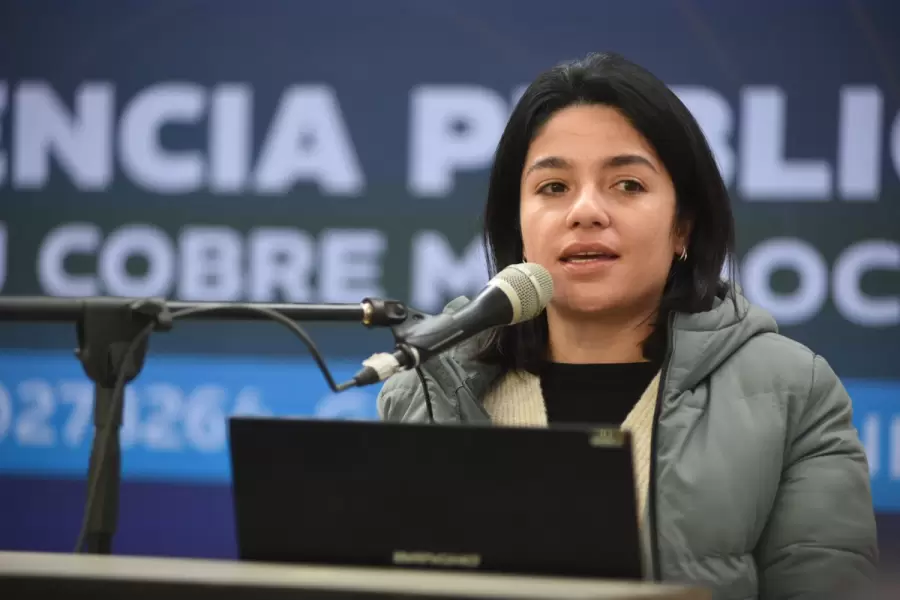 Diputada Sol Salinas