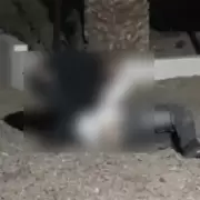 Seguridad del Desert: "No hubo un uso desmedido de la fuerza"