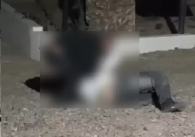 Captura de pantalla de video