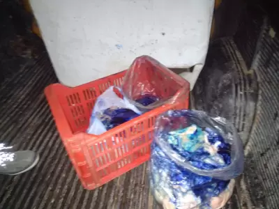 En distintos procedimientos realizados en Tupungato y San Carlos se incaut� 15 kilos de carne en mal estado/