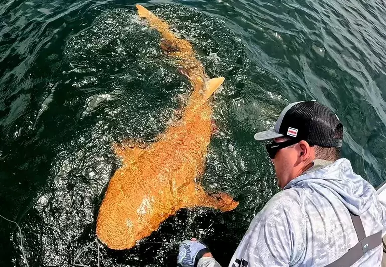 El hallazgo sucedi� en el a�o 2024, en aguas de Costa Rica.