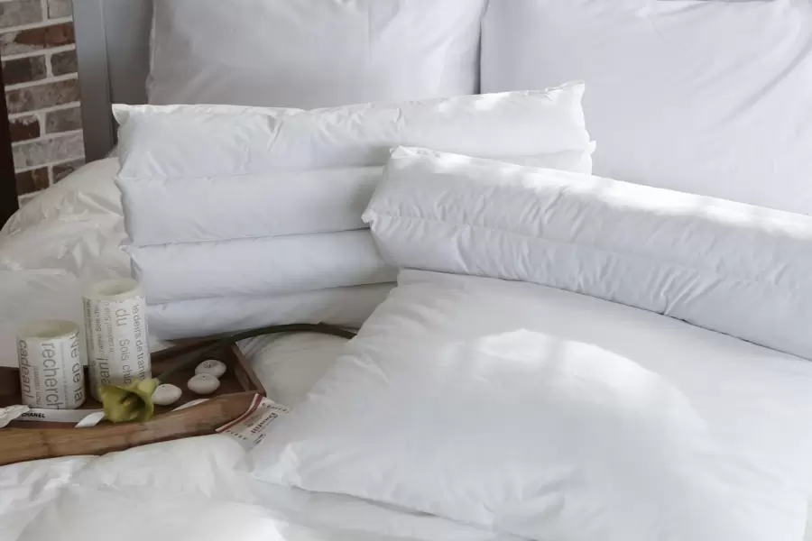 almohada, habitación, libélula, lecho, almohada, almohada, almohada, almohada, almohada, habitación, lecho