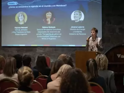Disertaci�n de la ministra de Energ�a
