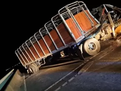 Este cami�n ganadero volc� en la ruta al chocar con un utilitario. (Foto: gentileza Cr�nica)