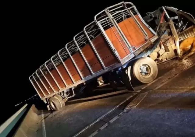 Este cami�n ganadero volc� en la ruta al chocar con un utilitario. (Foto: gentileza Cr�nica)