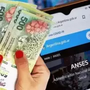 Trámite online: así se presenta la libreta AUH 2025 paso a paso