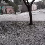 Tormenta en Mendoza: m�s de 100 evacuados, destrozos y un hipermercado colapsado